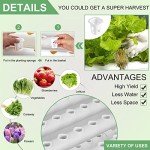 LAPOND 108-Plant Hydroponic Growing System Kit