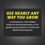 FloraNova Bloom One-Part Nutrient - 1 Quart