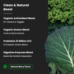 NutraChamps Super Greens Powder - 20+ Organic Veggies