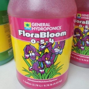 General Hydroponics FloraBloom Nutrient Solution, 1 Gallon