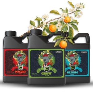 3-Part Hydroponic Nutrient Kit for Healthy Growth