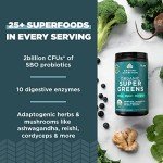 Organic Super Greens Powder with Probiotics – 25 Servings