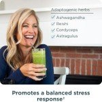 Organic Super Greens Powder with Probiotics – 25 Servings