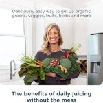 Organic Super Greens Powder with Probiotics – 25 Servings