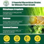 Mycorrhizal Fungi Root Enhancer for Hydroponics