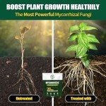 Mycorrhizal Fungi Root Enhancer for Hydroponics