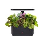 AeroGarden Harvest Indoor Hydroponic System with LED