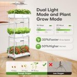 Ahopegarden Indoor Hydroponics Kit with LED Grow Light