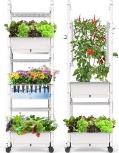 AOONEG Indoor Hydroponic Herb Garden System