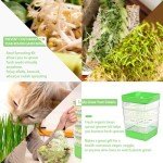 4-Tier Seed Sprouting Kit for Microgreens