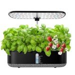 Large Hydroponic Herb Garden with LED Light