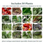 Gardyn 4.0 Hydroponic Vertical Garden Kit