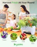 Smart Hydroponic Garden System with Grow Light