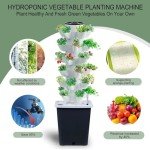 Indoor Vertical Hydroponics Tower Garden System