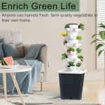 Indoor Vertical Hydroponics Tower Garden System