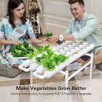 VIVOSUN Hydroponic Grow Kit for 36 Plants