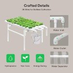 VIVOSUN Hydroponic Grow Kit for 36 Plants