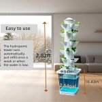 LnzyGarden Indoor Hydroponic Growing System Kit