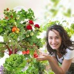 GROWNEER Smart Hydroponic Tower Garden System