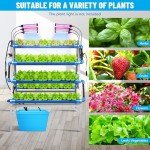 LAPOND A-Type Hydroponic Growing System for 72 Plants