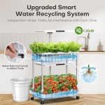 Ahopegarden Indoor Hydroponics Growing System with LED