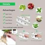 VIVOSUN Wall-Mounted Hydroponic Grow Kit for 36 Plants