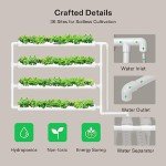 VIVOSUN Wall-Mounted Hydroponic Grow Kit for 36 Plants