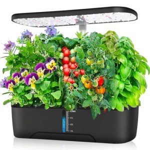 Indoor Hydroponic Herb Garden with Grow Light