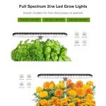 Indoor Hydroponic Herb Garden with Grow Light