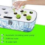 Indoor Hydroponic Herb Garden with Grow Light