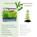 Indoor Hydroponic Herb Garden with Grow Light