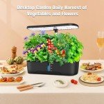 Indoor Hydroponic Herb Garden with Grow Light