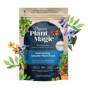Organic Plant Food - Fast-Acting Fertilizer Concentrate
