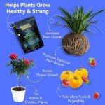 Mycorrhizal Fungi Root Stimulator for Strong Plants