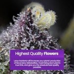 Pro Series Hydroponic Nutrients for Healthy Plants