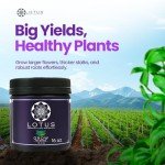 Pro Series Hydroponic Nutrients for Healthy Plants