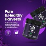 Pro Series Hydroponic Nutrients for Healthy Plants