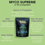 Mycorrhizal Fungi Root Stimulator for Strong Plants