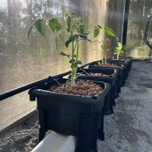 Hooch Multi-Bucket Hydroponic Growing System