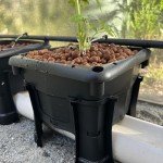 Hooch Multi-Bucket Hydroponic Growing System