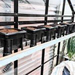 Hooch Multi-Bucket Hydroponic Growing System