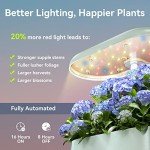 inbloom Hydroponics Indoor Garden System with LED Light