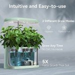 inbloom Hydroponics Indoor Garden System with LED Light