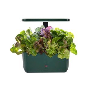 AeroGarden Harvest 2.0 Indoor Hydroponic Garden System