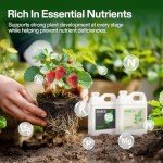 VIVOSUN Hydroponic Nutrients A & B Bundle