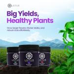 Lotus Nutrients Trio for Optimal Growth
