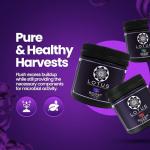 Lotus Nutrients Trio for Optimal Growth