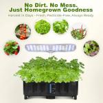 Kingsyard 15-Pod Indoor Hydroponic Herb Garden