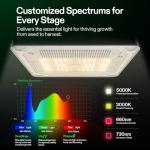 Smart Hydroponic Grow Box with LED Light