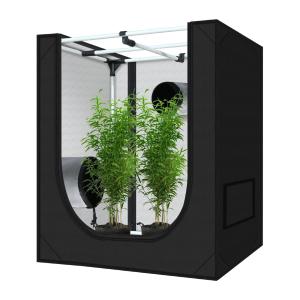 Hydroponic Grow Tent with Window & Kit Bag